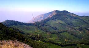  Pothamedu ViewPoint  Munnar